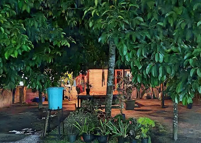 Traveller Homestay