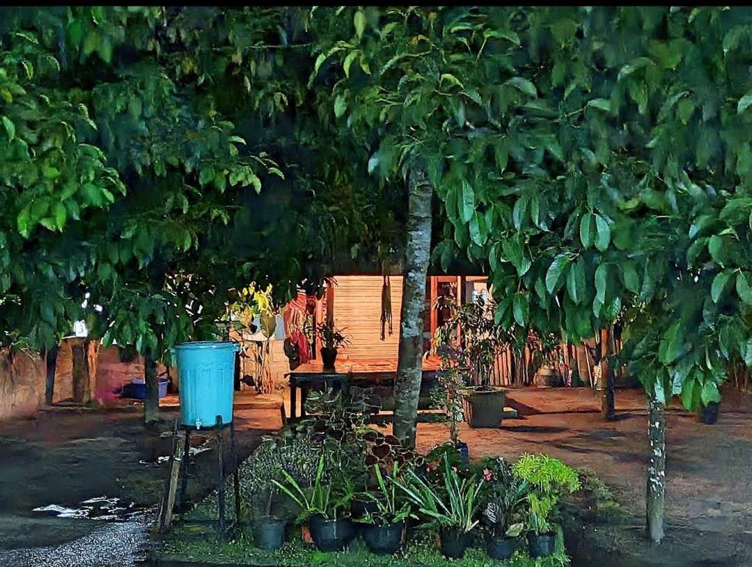 Homestay Traveller